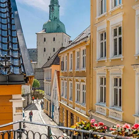 아파트 Renovated Gem With Balcony In Street